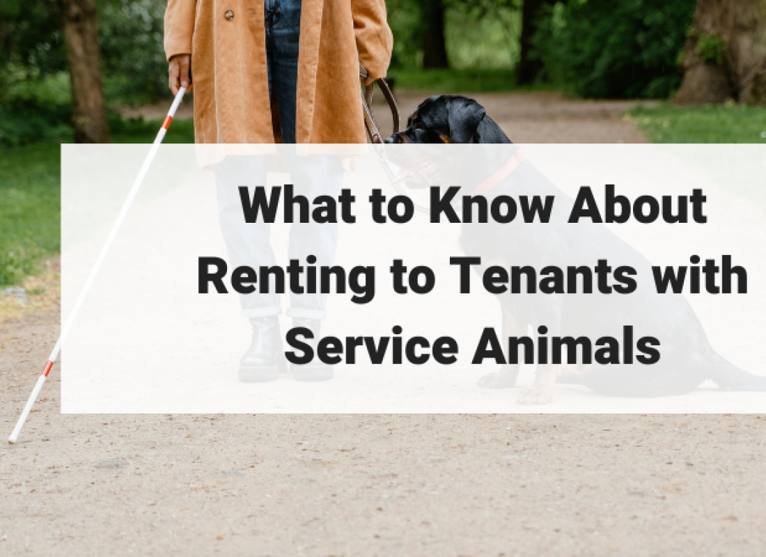What to Know About Renting to Tenants with Service Animals