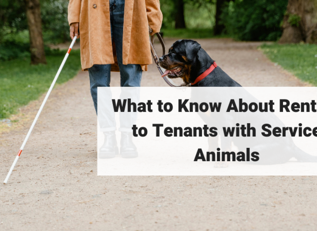 What to Know About Renting to Tenants with Service Animals