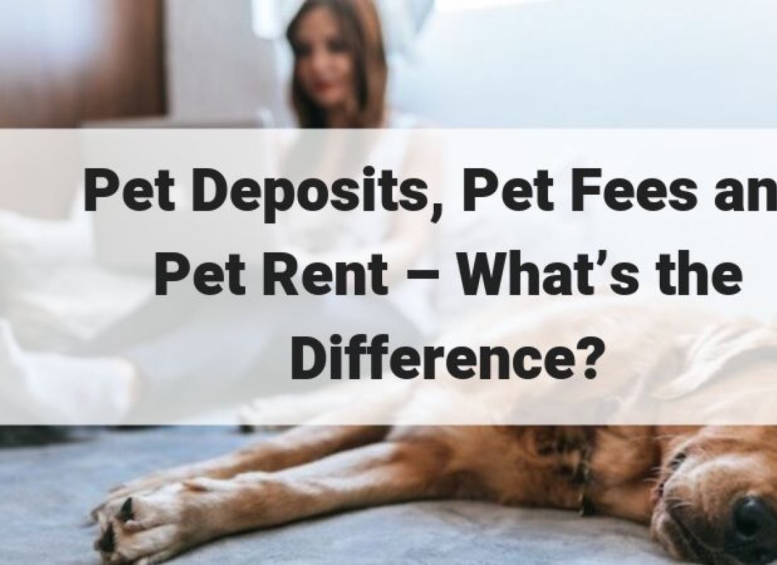 Pet Deposits, Pet Fees And Pet Rent – What’s The Difference?